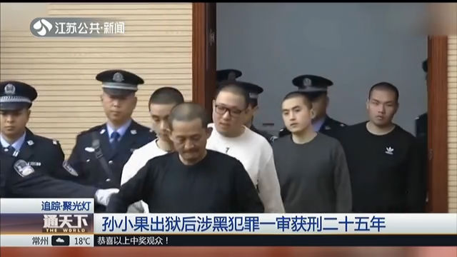 孙小果出狱后涉黑犯罪一审获刑二十五年