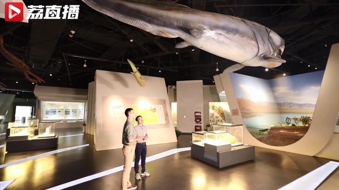 8米长的海洋霸主，连鲨鱼都是它的口粮！
