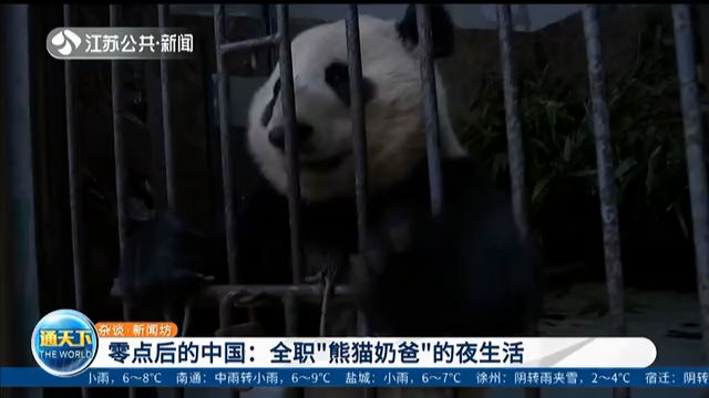 零点后的中国 全职“熊猫奶爸”的夜生活