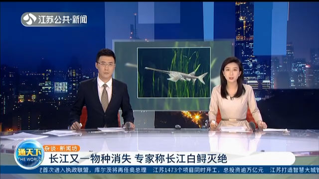 长江又一物种消失 专家称长江白鲟灭绝
