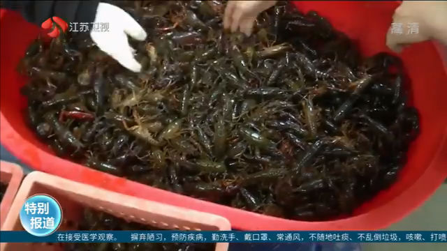 南通启东：日销湖北小龙虾4000斤