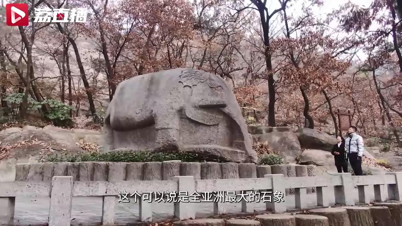 游遍江苏丨昔日孔子望海处，连云港这尊石象伫立近两千年