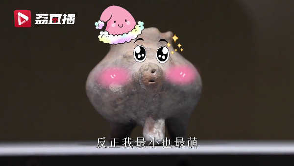来南京博物院看五千年前的猪猪表情包