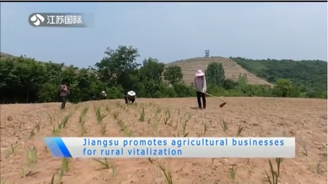 Jiangsu promotes agricultural businesses for rural vitalization