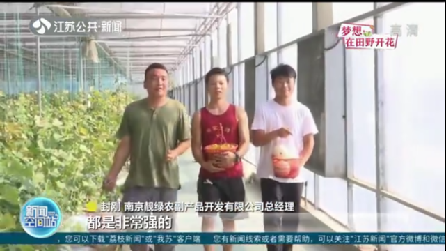 南京种瓜“三兄弟”逐梦新鱼米之乡