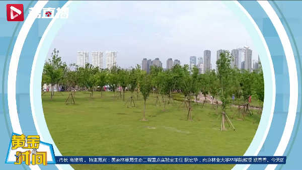 植树造林40年 江苏为国土绘丹青