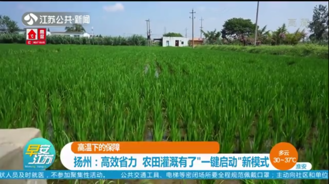 高温下的保障 扬州：高效省力 农田灌溉有了“一键启动”新模式