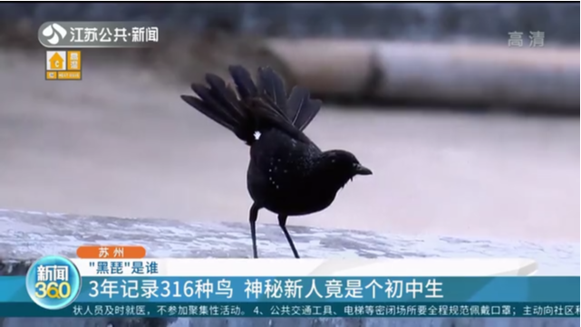 苏州 “黑琵”是谁 3年记录316种鸟 神秘新人竟是个初中生