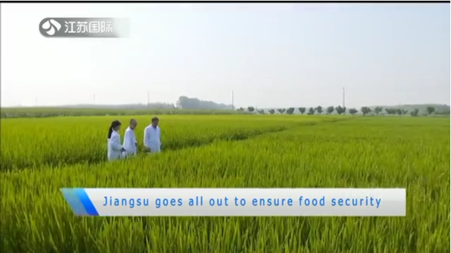 Jiangsu goes all out to ensure food security