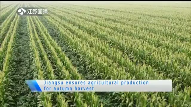 Jiangsu ensures agricultural production for autumn harvest