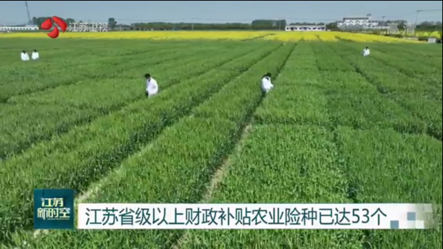 江苏省级以上财政补贴农业险种已达53个