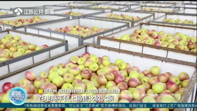 “洋河苹果”春节热销 电商赋能助力乡村振兴