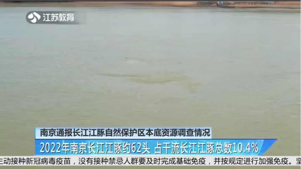 南京通报长江江豚自然保护区本底资源调查情况 2022年南京长江江豚约62头 占干流长江江豚总数10.4%
