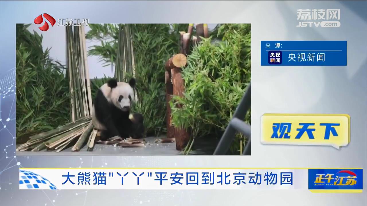 大熊猫“丫丫”平安回到北京动物园