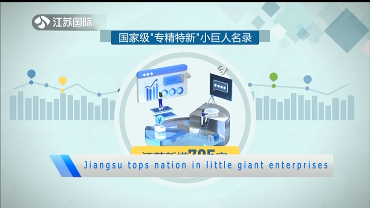 Jiangsu tops natiom in little giant enterprises