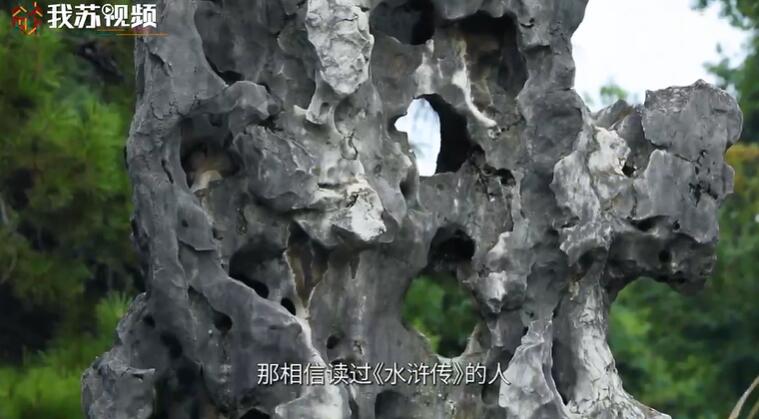 我苏)玄武湖这块不起眼的石头竟是镇园之宝5
