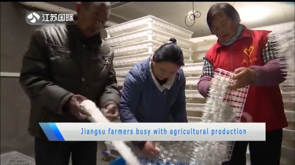 Jiangsu farmers busy with agricultural production