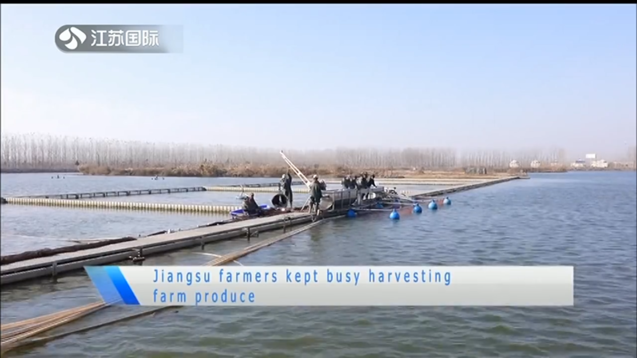 Jiangsu farmers kept busy harvesting farm produce