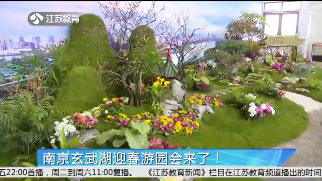 南京玄武湖迎春游园会来了！