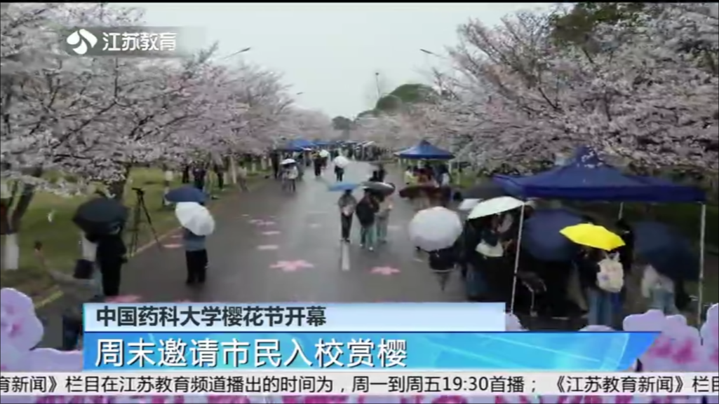 中国药科大学樱花节开幕 周末邀请市民入校赏樱