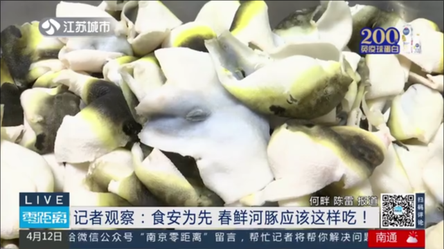 记者观察：食安为先 春鲜河豚应该这样吃！