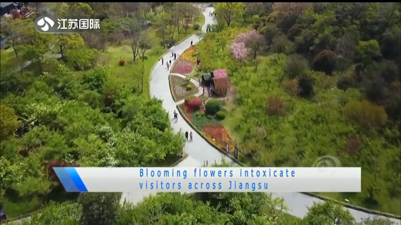 Blooming flowers intoxicate visitors across Jiangsu