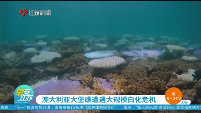 澳大利亚大堡礁遭遇大规模白化危机