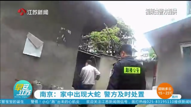 南京：家中出现大蛇 警方及时处置