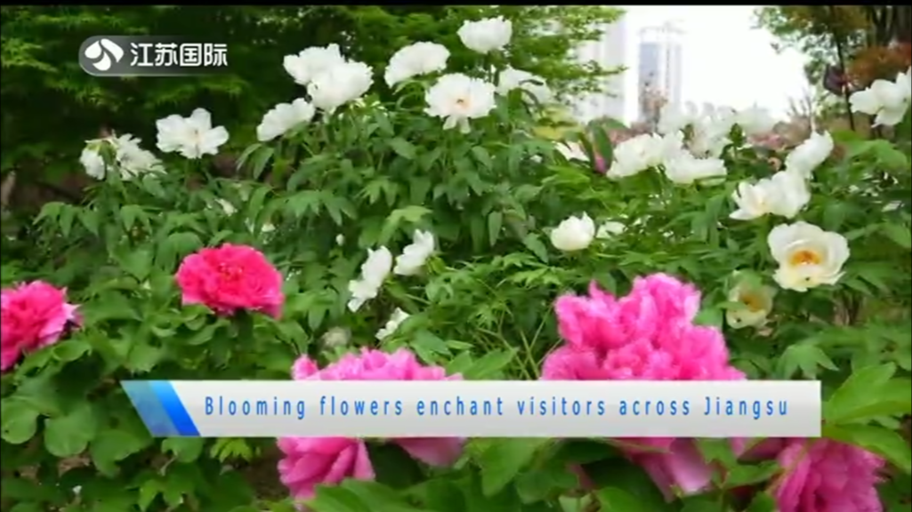 Blooming flowers enchant visitors across Jiangsu