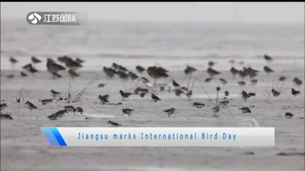 Jiangsu marks International Bird Day