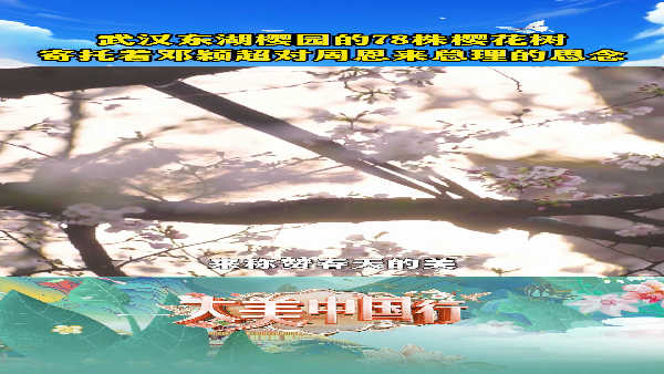 6. 武汉东湖樱园的78株樱花树，寄托着邓颖超对周恩来总理的思念